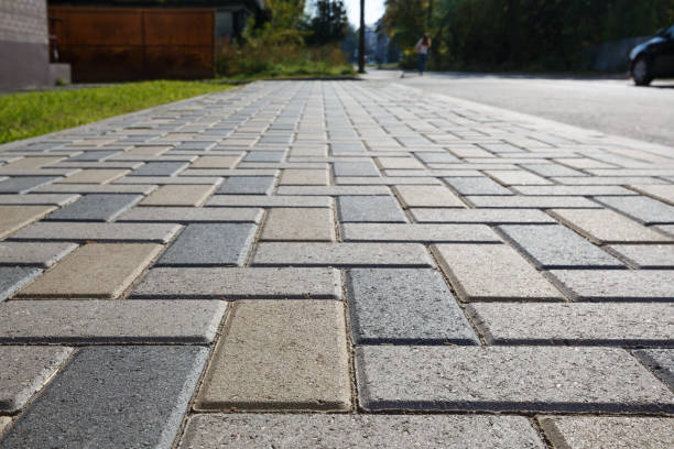 Best Driveway Pavers Near Me  in Lake City, AR