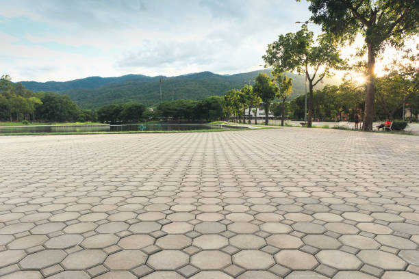 Best Interlocking Driveway Pavers  in Lake City, AR